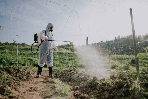 Best Pest Prevention Services  in Sloan, IA