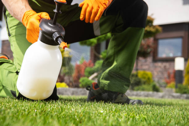 Best Flea Control Services  in Sloan, IA
