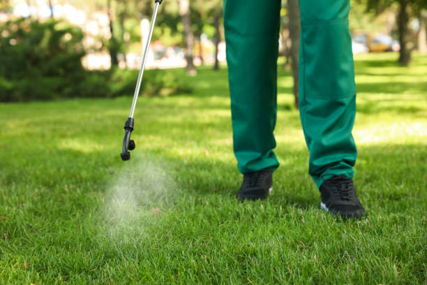 Best Wasp Removal Services  in Sloan, IA