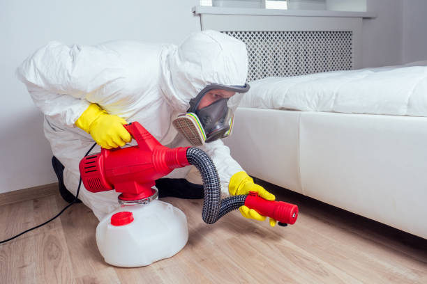 Best Insect Control  in Sloan, IA