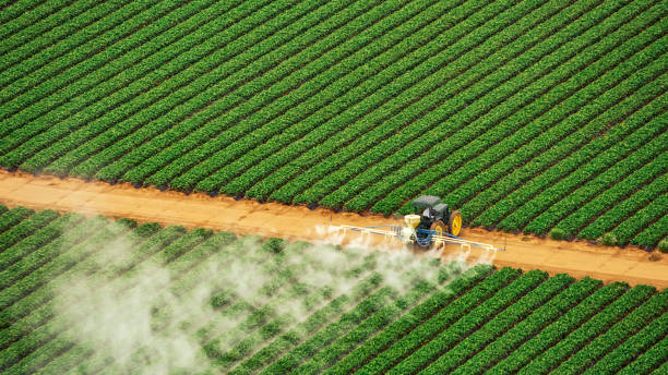 Best Commercial Pest Control Services  in Sloan, IA