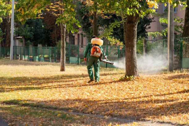 Wasp Removal Services in Sloan, IA