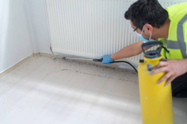 Best Affordable Pest Control Services  in Sloan, IA