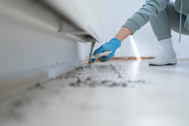 Best Wildlife Control Services  in Sloan, IA