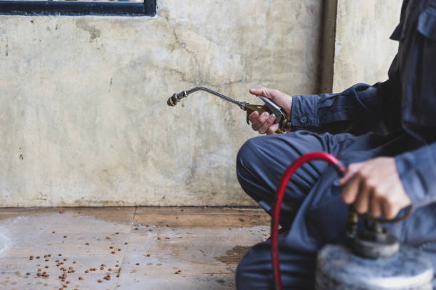 Best Residential Pest Control  in Sloan, IA